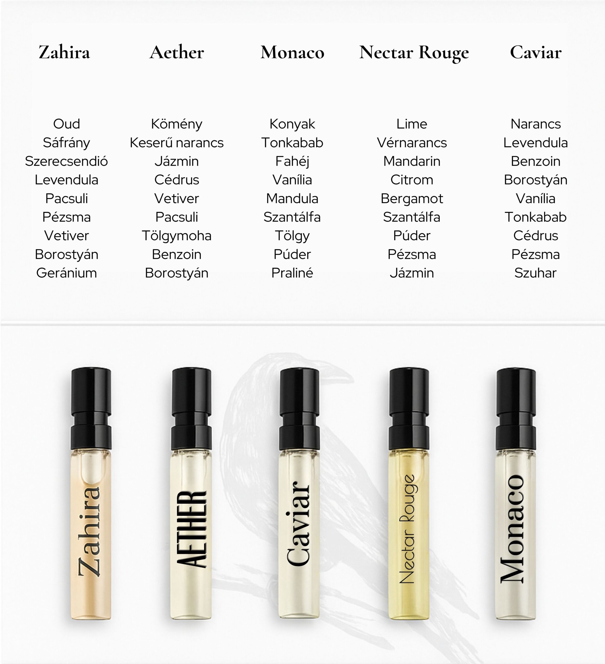 Discovery Set - Image 2